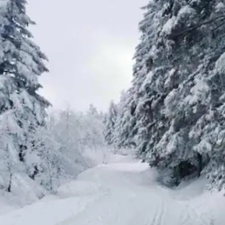 Pretty Mountain View 2-bedroom Pyrenees 아파트