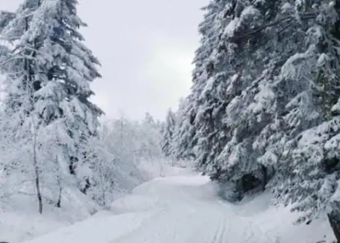 Pretty Mountain View 2-bedroom Pyrenees Apartment